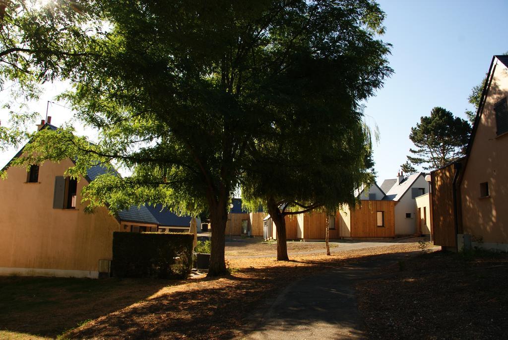Vvf Villages   Les Châteaux De La Loire Amboise
